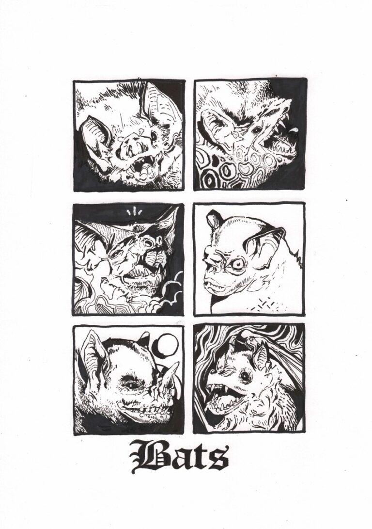 Bats